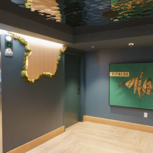 Gym and Common Area